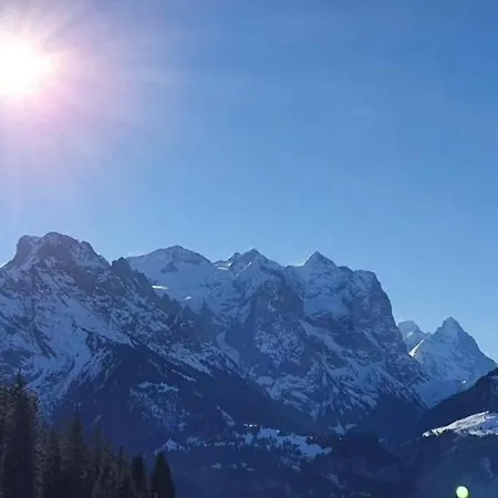 Neu Eingerichtete Ferienwohnung Im Haslital Apartment Innertkirchen