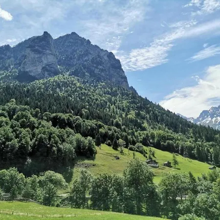 Neu Eingerichtete Ferienwohnung Im Haslital