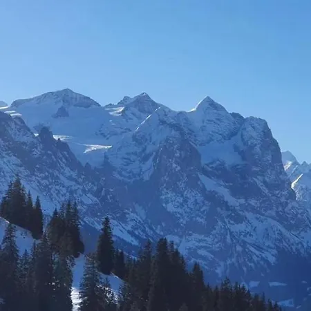 Apartment Neu Eingerichtete Ferienwohnung Im Haslital *
