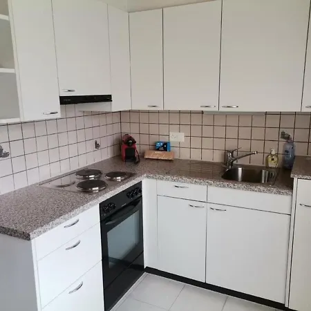 Neu Eingerichtete Ferienwohnung Im Haslital Lejlighed